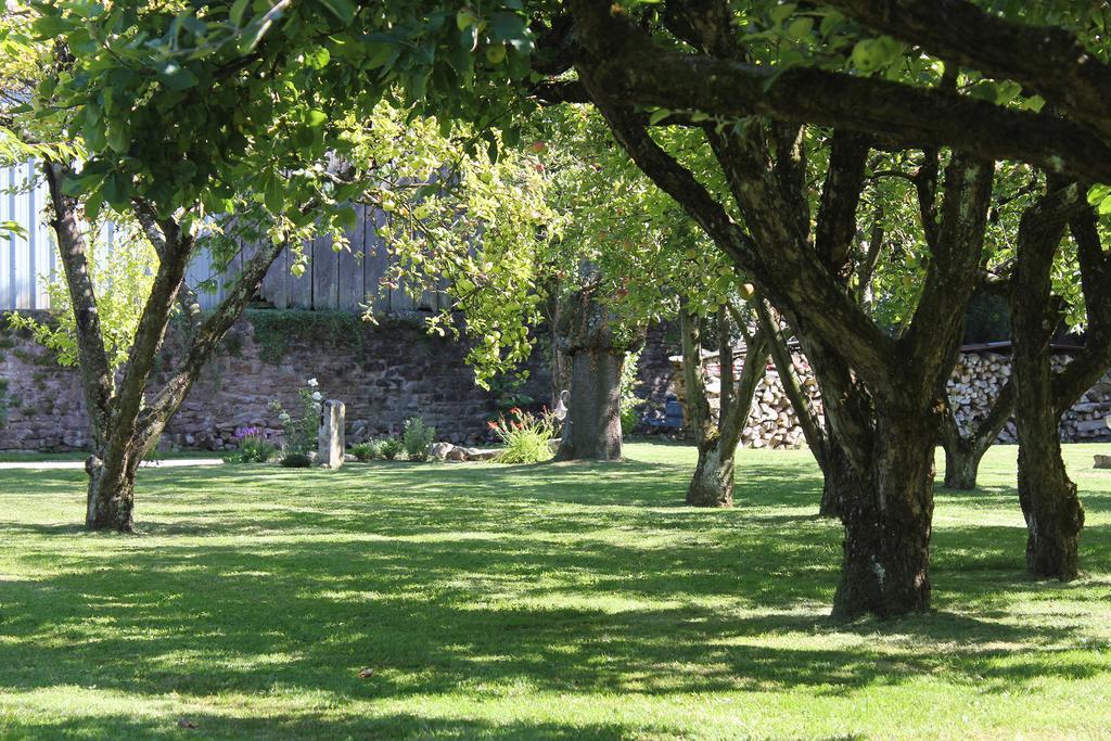 Le Lavoir Bed & Breakfast Peintre Exterior foto
